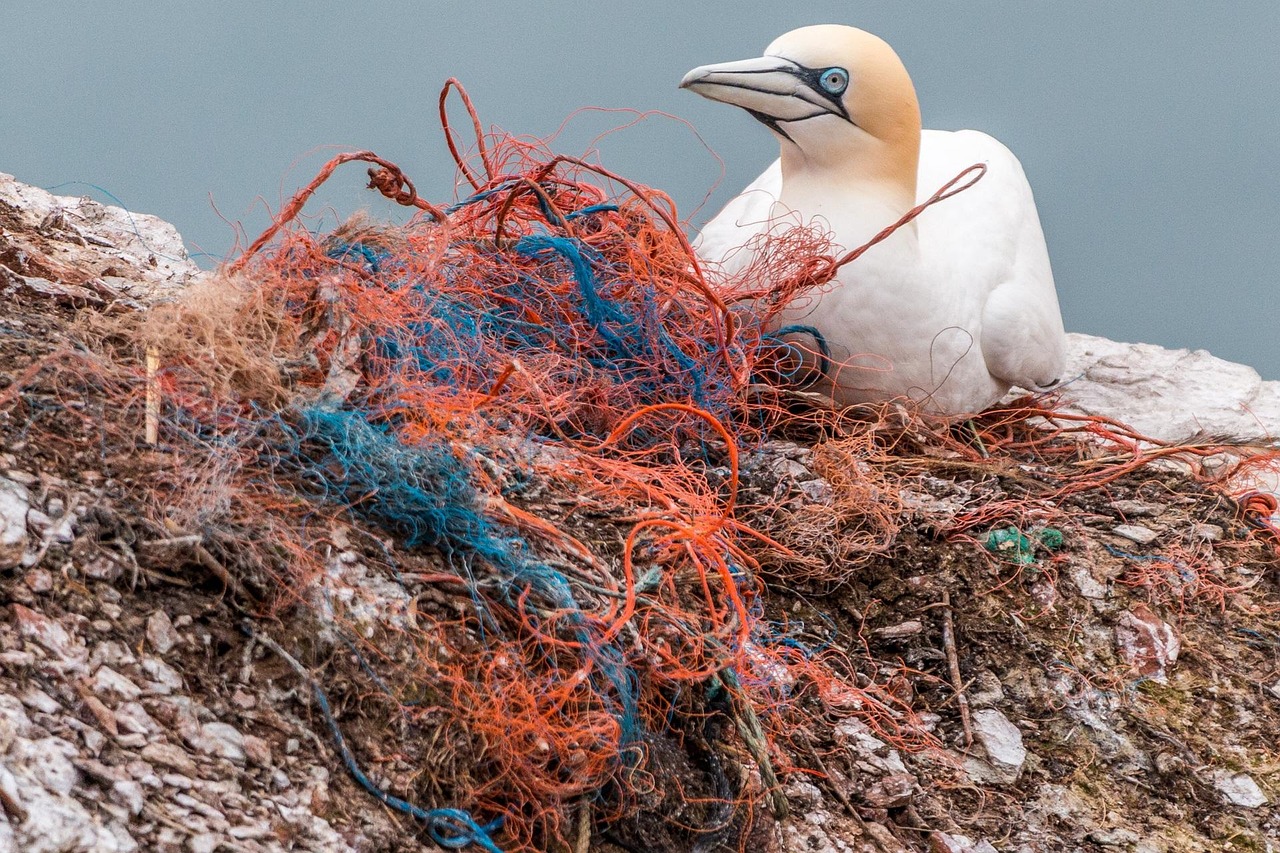 Plastikmüll im Wasser — Mikroplastik als Folgeproblem