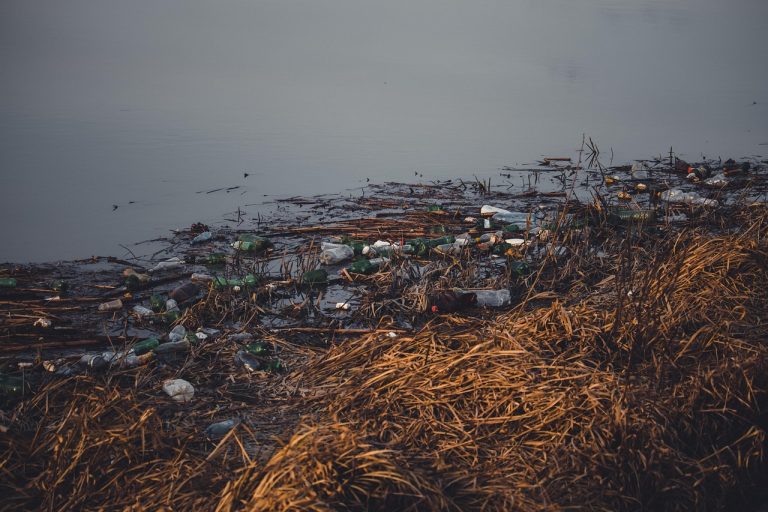 Mikroplastik im Trinkwasser — was die Forschung 2026 weiß