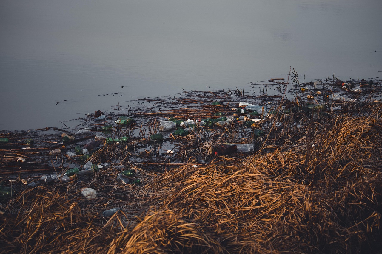 Mikroplastik im Trinkwasser — was die Forschung 2026 weiß